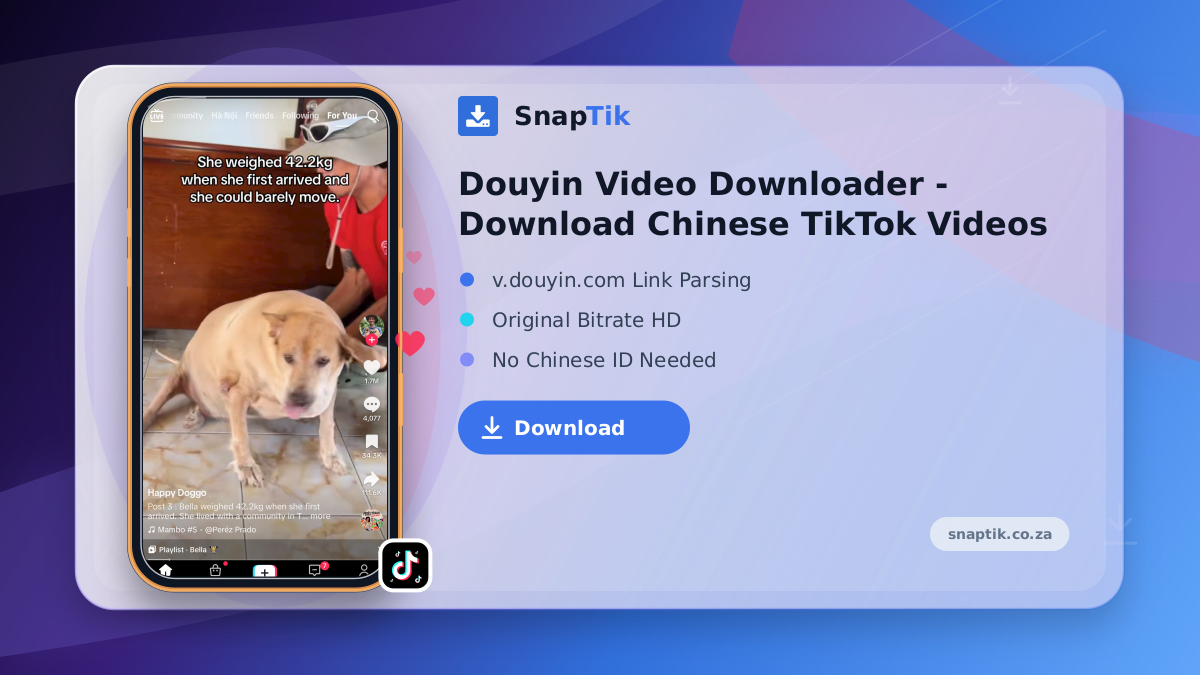 Douyin Video Downloader - Download Chinese TikTok Videos