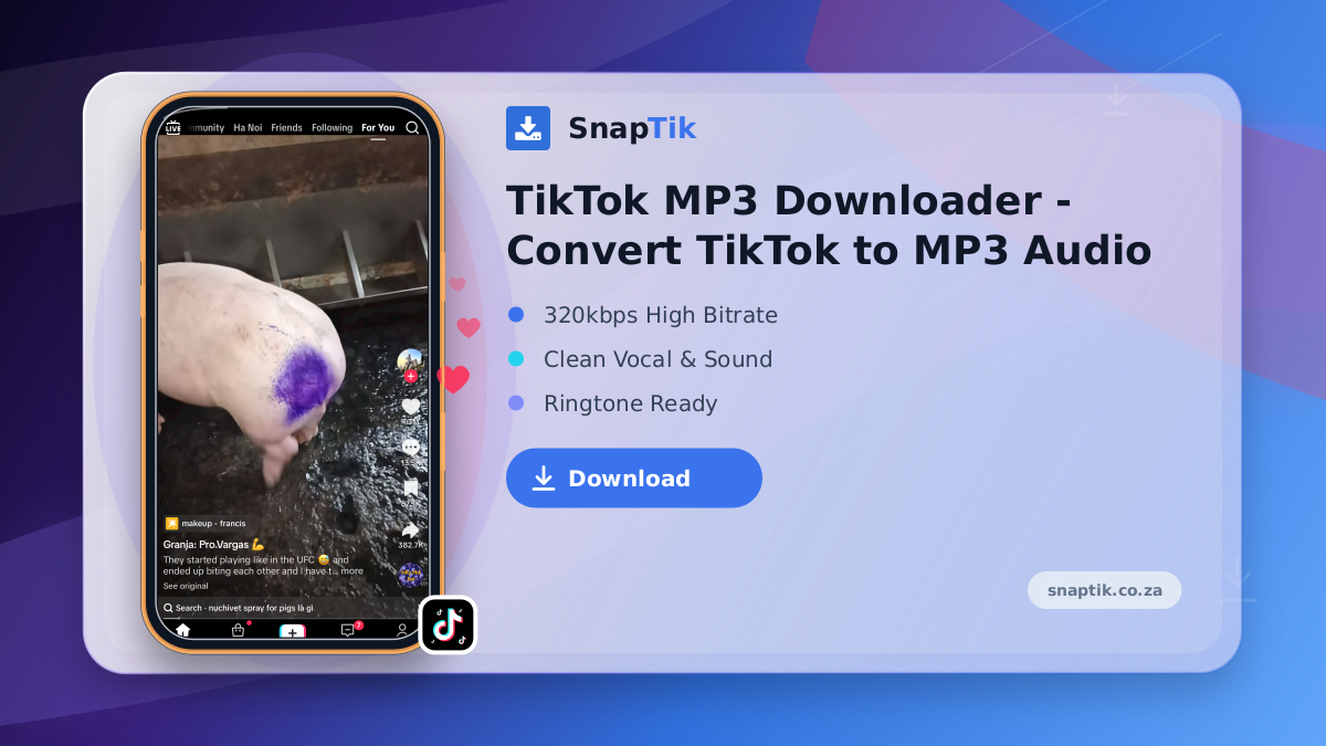 TikTok MP3 Downloader - Convert TikTok to MP3 Audio