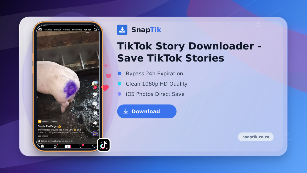 TikTok Story Downloader - Save TikTok Stories