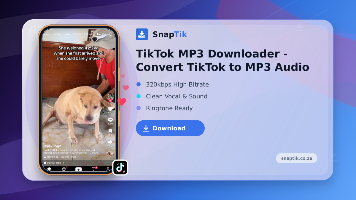 TikTok MP3 Downloader - Convert TikTok to MP3 Audio