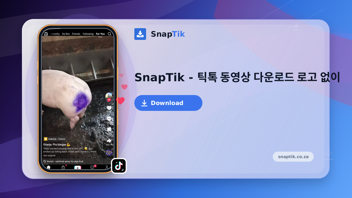 SnapTik - 틱톡 동영상 다운로드 로고 없이