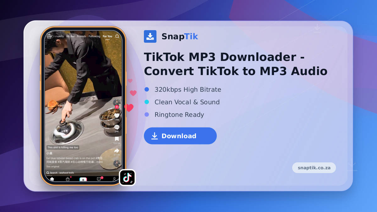 TikTok MP3 Downloader - Convert TikTok to MP3 Audio