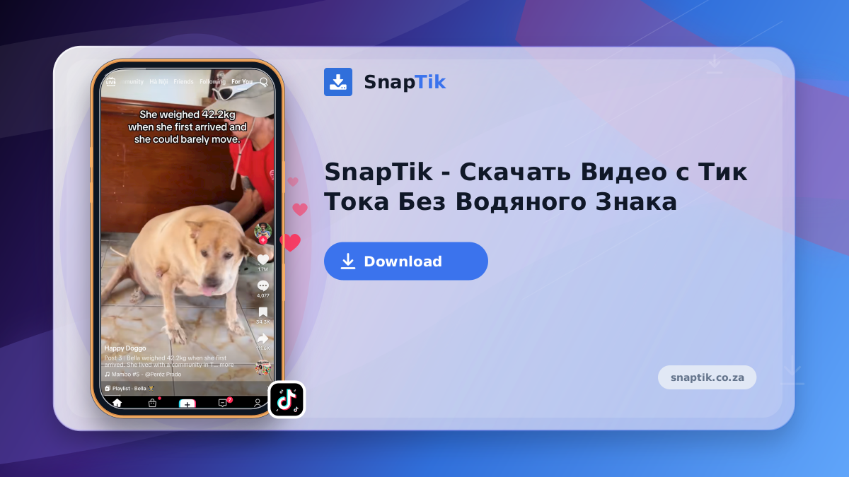SnapTik - Скачать Видео с Тик Тока Без Водяного Знака