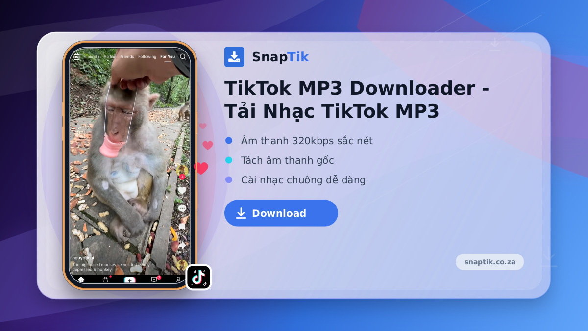 TikTok MP3 Downloader - Tải Nhạc TikTok MP3