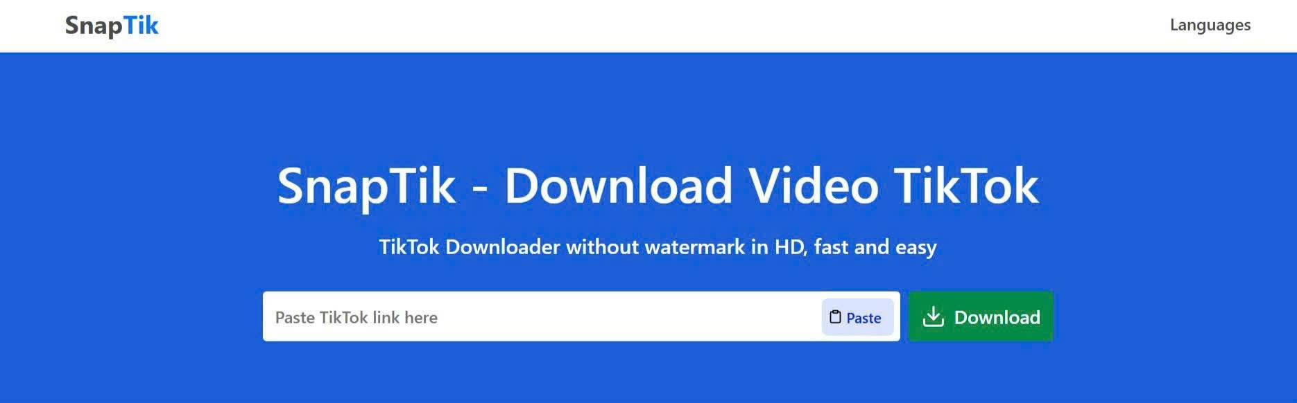 Download TikTok Photos Without Watermark – Fast, Clean & HD